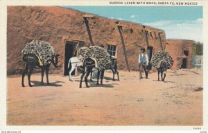 SANTE FE, New Mexico, 1910-30s; Burros Laden with Wood