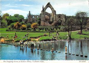 B100034 the stepping stones at bolton abbey yorkshire dales  uk
