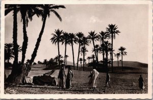 Tunisia Dans la Palmeraie Vintage RPPC C145