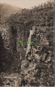 Australia Postcard - View of Morialta Reserve, Woodforde RS33828