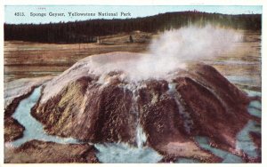 Vintage Postcard 1920's Sponge Geyser Basin Yellowstone National Park Wyoming WY