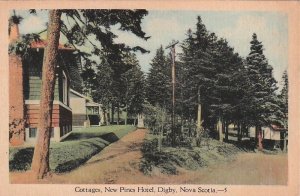 Postcard Cottages New Pines Hotel Digby Nova Scotia Canada