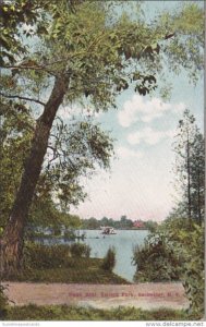 New York Rochester Swan Boat In Seneca Park