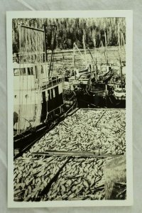 RPPC The Days Run at an Alaska Salmon Cannery Vintage Postcard P108