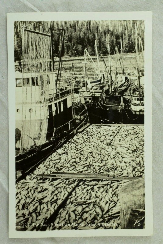 RPPC The Days Run at an Alaska Salmon Cannery Vintage Postcard P108