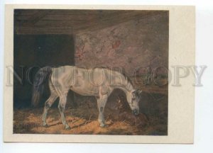 486270 USSR 1932 Sverchkov gray mare with foal Horse Breeding Museum GIZ