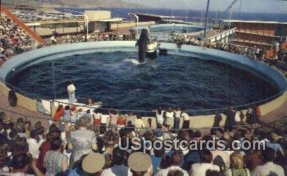 Whale Show - Marineland of the Pacific, California CA  