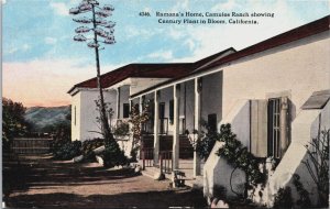 Ramona's Home Camulos Ranch, Century Plant In Bloom California Postcard C140