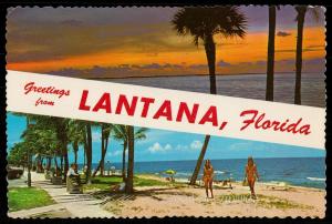 Greetings from Lantana