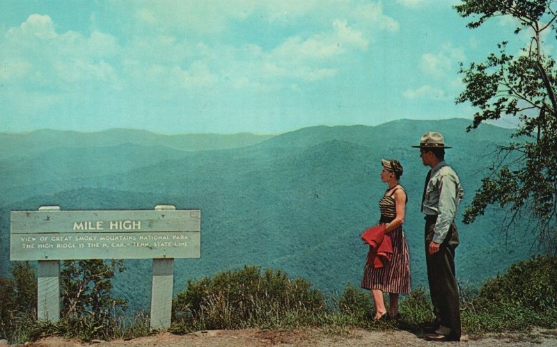 Vintage Postcard Mile High Overlook Blue Ridge Parkway Soco Gap North Carolina