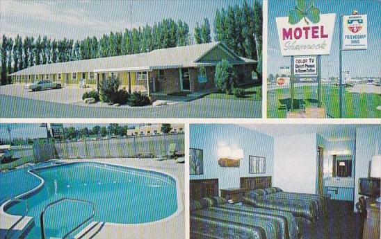 Iowa Spirit Lake Friendship Inn Shamrock Motel With Pool