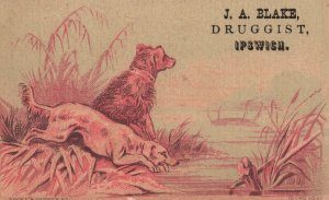 1880s-90s Dogs Hunting JA Blake Druggist Ipswich MA Bowker's Plant Trade Card