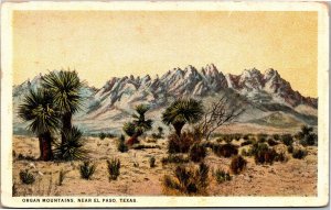 Postcard TX El Paso Organ Mountains