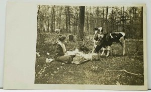 RPPC A Picnic with Cows, Woman Watches Cows Rummage through Baskets Postcard H17