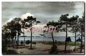 Port des Barques Modern Postcard The sea through the pines