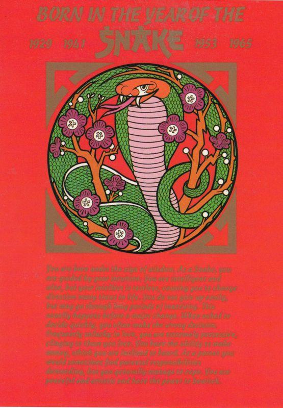 The Year Of The Snake Chinese Horoscope Zodiac Starsign Postcard