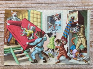 Mainzer Cats, Moving Day, 4958, Hartung, Belgium, Unused, Vintage Postcard