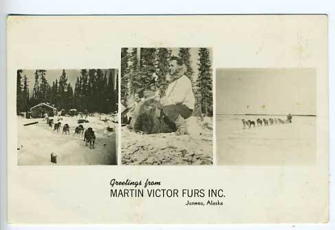 Juneau AK Martin Furs Dogs Advertising RPPC Postcard