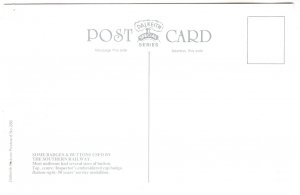 Railway Train Buttons & Badges Postcard