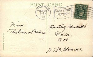 Thanksgiving Little Boy and Turkey Window Backdrop c1910 Vintage Postcard