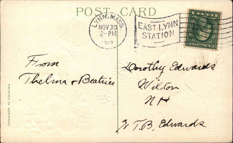 Thanksgiving Little Boy and Turkey Window Backdrop c1910 Vintage Postcard