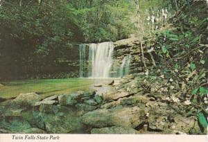 West Virginia Saulsville Twin Falls State Park