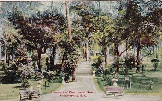 Grounds Of Pine Forest Hotel Summerville South Carolina 1919