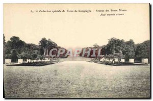 Old Postcard Special Collection of Compiegne Avenue Palais des Beaux Monts