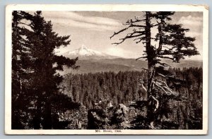 Vintage Oregon Postcard - Mt. Hood -  1910