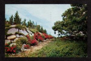 MA Old Silver Beach FALMOUTH CAPE COD MASSACHUSETTS PC