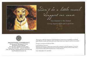 Jamie Wyeth Brandywine Conservancy 2005 Fundraising Booklet