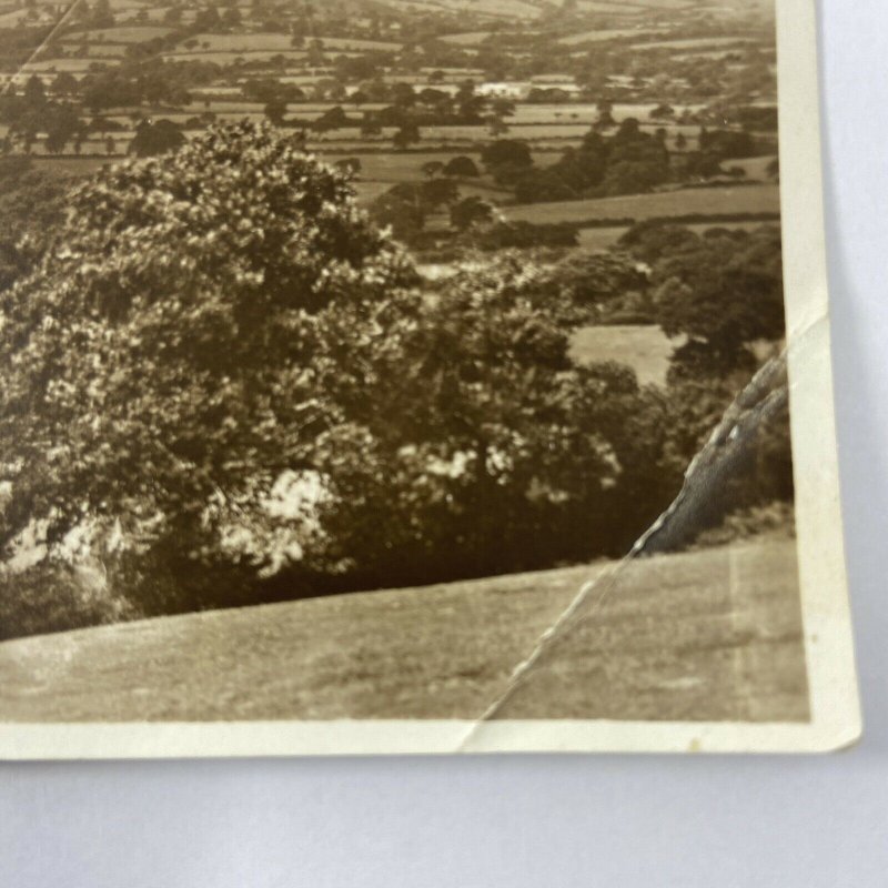 c1930s RPPC Vale Cathedral Whitchurch Canonicorum England Dorset UK Postcard 