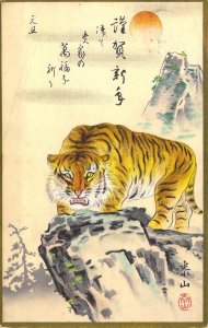 Early Japan, Meiji, Fancy Tiger, Postally Used, (#16)Old Postcard
