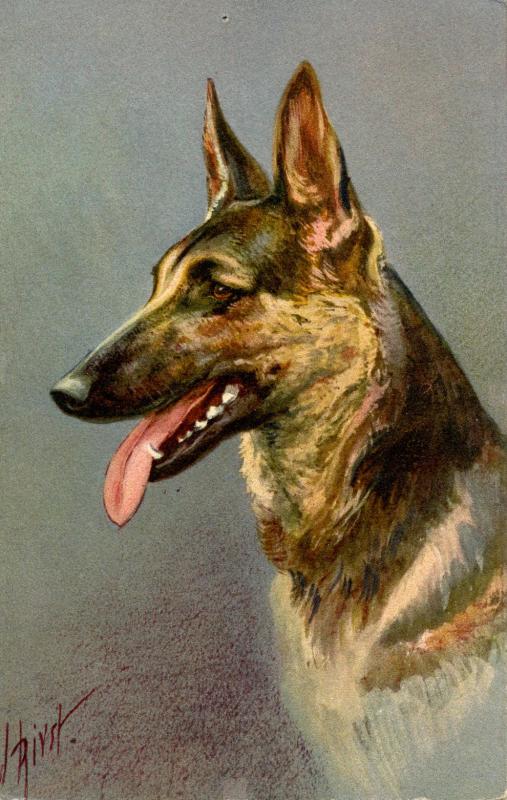 Dog - Alsatian Wolfhound. Artist: I. Rivst