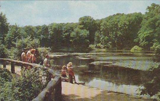 Ohio Yougstown  Lily Pond Milcreek Park