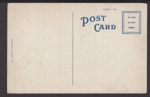 Florida ~ Fifty-Two Grape Fruit on One Limb ~ DB