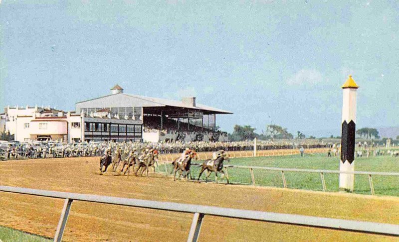 Horse Race Racing Track Charles Town West Virginia postcard