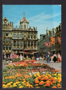 Grand Place,Brussels,Belgium BIN