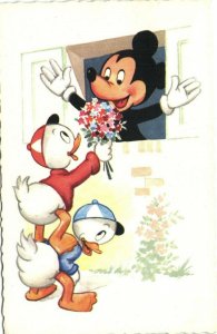 PC DISNEY, MICKEY MOUSE, HUEY AND DEWEY DUCK, Vintage Postcard (b28677)