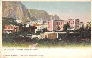 Capri Italy Hotel Quisisana Scenic View Antique Postcard J65447