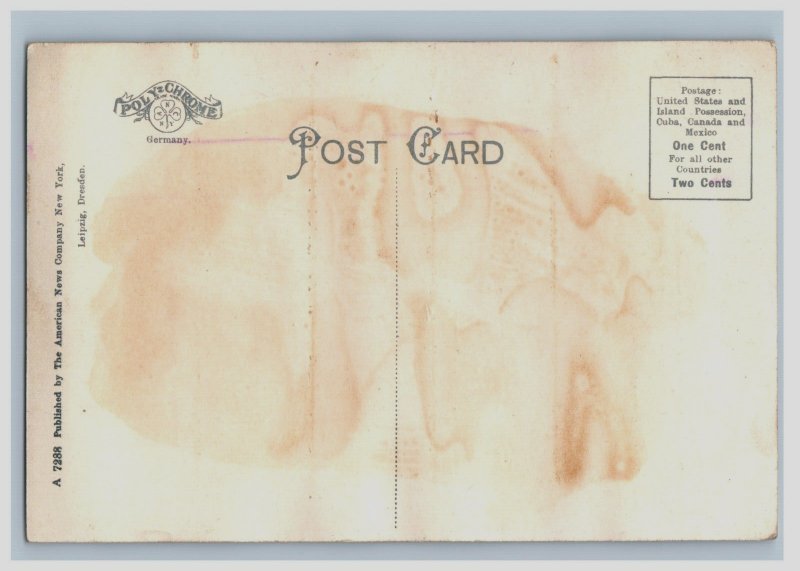 C.1905 Great White Fleet U.S.S. Jowa  At Anchor Pensacola, FL Postcard F168