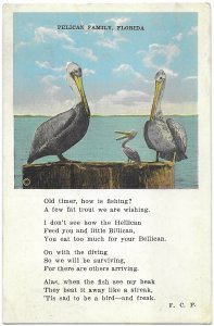 Funny Poem About Pelicans Birds Mailed 1926 with 2 Cent Washington Stamp