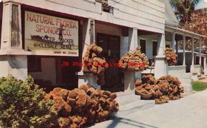 FL, Key West, Florida, Natural Florida Sponge Company, Sponges, DP No 74719