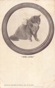 1908 EMPIRE TIRE Co. NINE LIVES Cat Postcard Trenton NJ Advertising