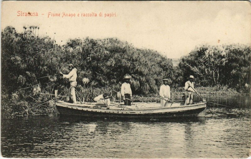 CPA Siracusa fiume Anapo e raccolta di papiri ITALY (809309)