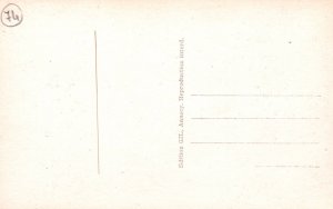 Sur le Lac D'annecy,France BIN