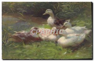 Old Postcard Ducks
