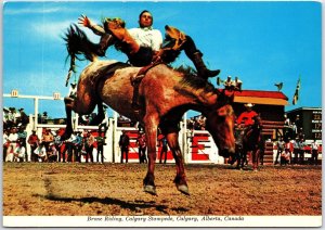 VINTAGE CONTINENTAL SIZE POSTCARD BRONCO RIDING RODEO AT THE CALGARY STAMPEDE