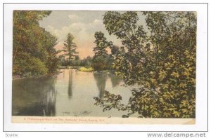 A picturesque Spot on The Ashuelot River, Keene, New Hampshire,00-10s