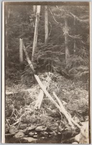 Jordan River Dam Construction Trees Down Vancouver Island RPPC Postcard H78